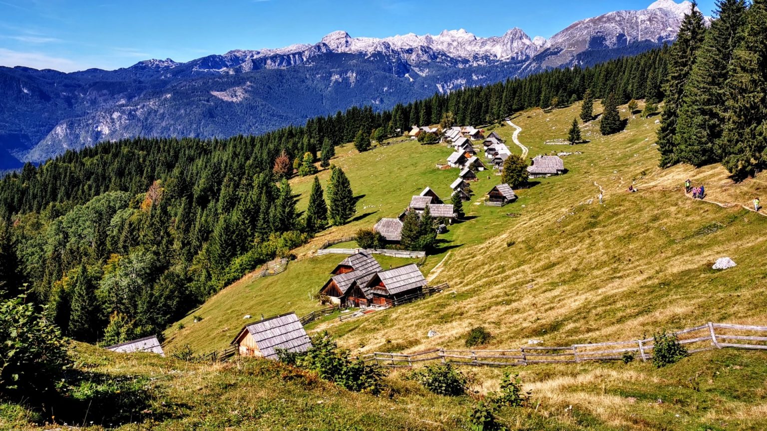 pl_zajamniki_barjani_sep_2021 (5)