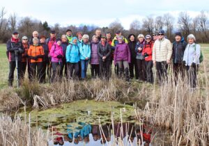 barje_marec_2026 sončki (11)